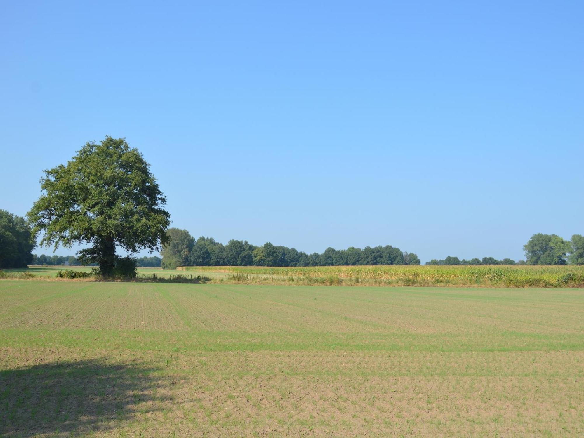 Quaint Farmhouse In Geesteren With Meadow View Екстер'єр фото