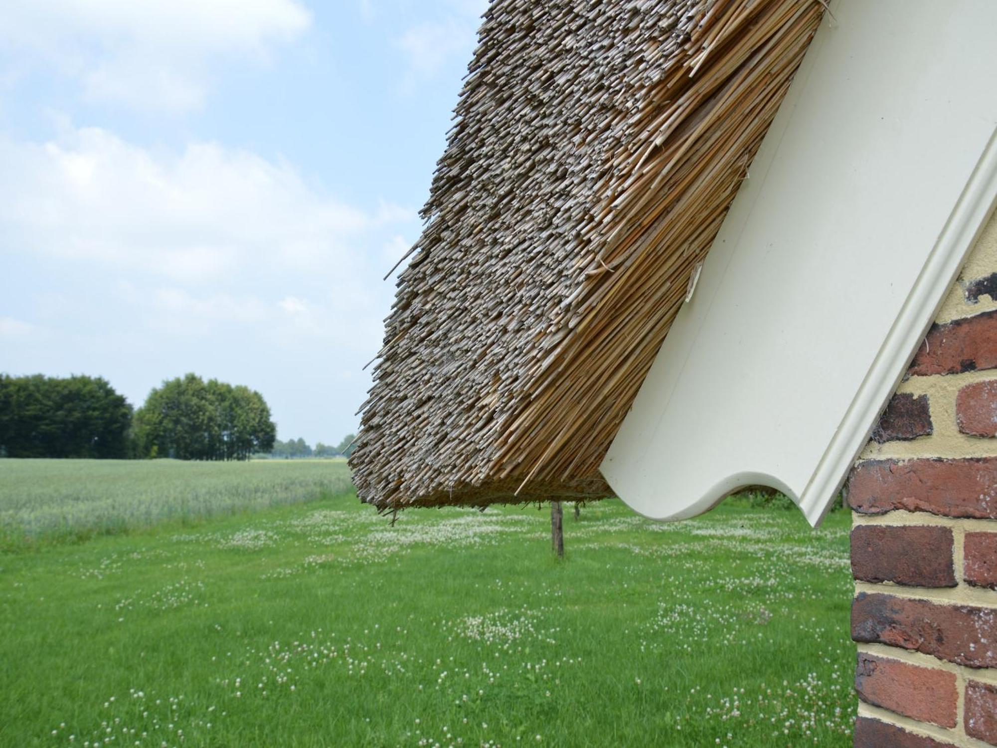 Quaint Farmhouse In Geesteren With Meadow View Екстер'єр фото