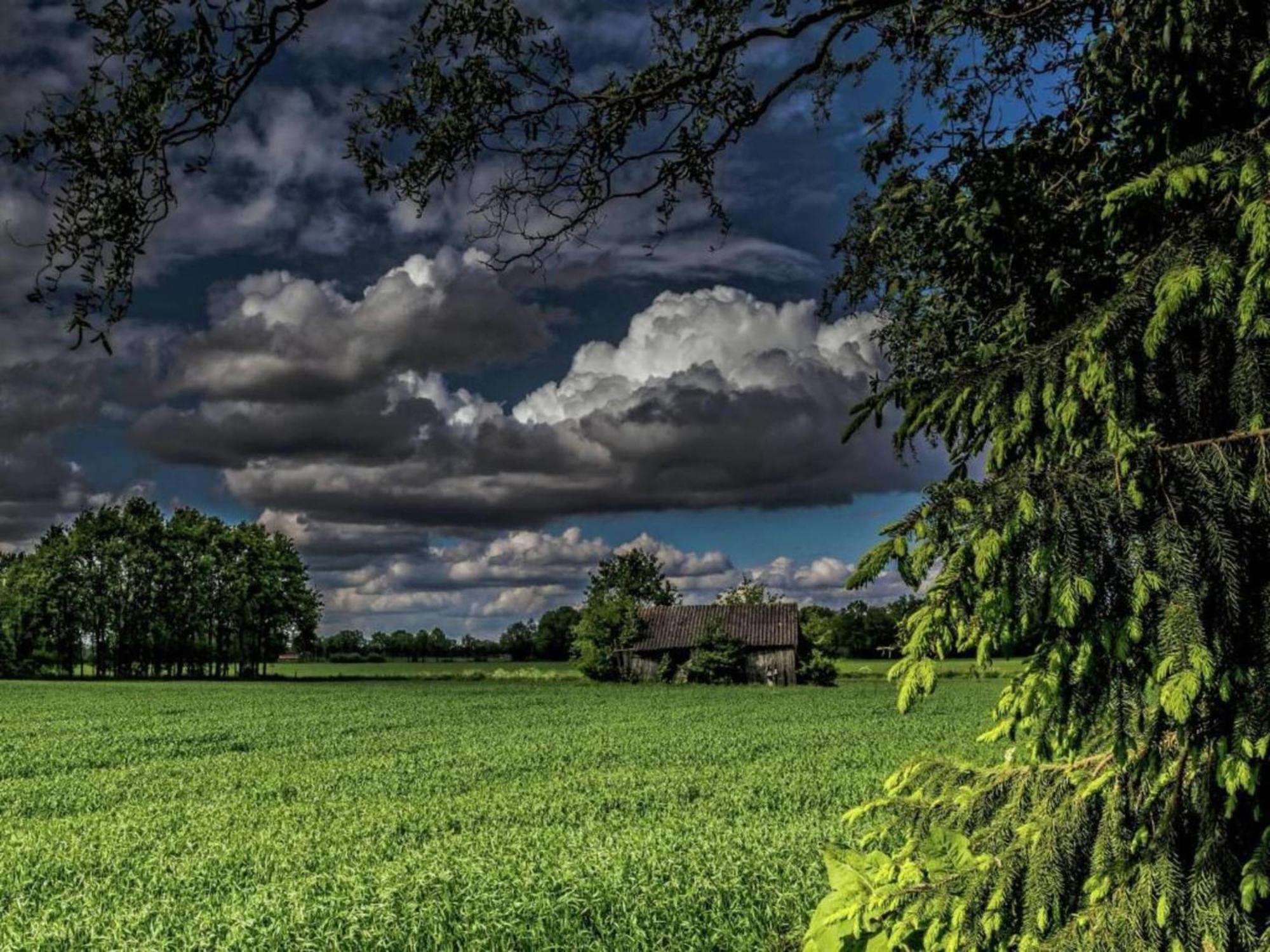 Quaint Farmhouse In Geesteren With Meadow View Екстер'єр фото